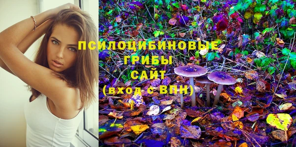 первитин Алексин